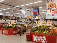 Fuel price adjustments, food supply disruptions push November CPI