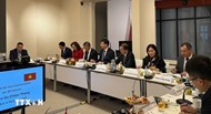 Vietnam - Germany labor cooperation - strategically complementary, mutually beneficial: official