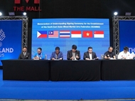 Vietnam becomes founding member of Southeast Asia Mixed Martial Arts Association