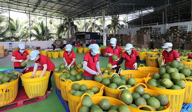 Fruit, vegetable exports post successive breakthroughs