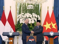 Vietnam - Indonesia ties: Seven decades of partnership and strategic vision for prosperous Southeast Asia