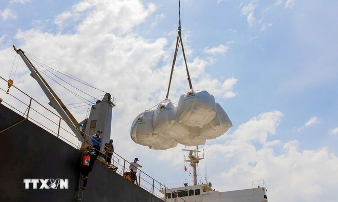 Vietnam exports over 8 million tons of rice, earning 4.1 billion USD in 2025