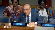 Vietnam supports U.N. Security Council’s substantive reform
