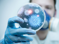 Vietnam reports no Nipah virus cases, health sector on high alert