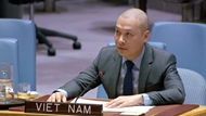 Vietnam backs all peace initiatives in line with int’l law, U.N. Charter: official