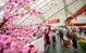 Spring Fair 2026 attracts over 32,000 visitors in two days