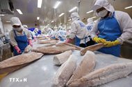 Vietnam posts 13% rise in seafood exports in January