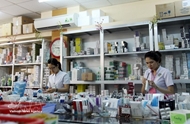Measures rolled out to ensure adequate medicine supply during Tet