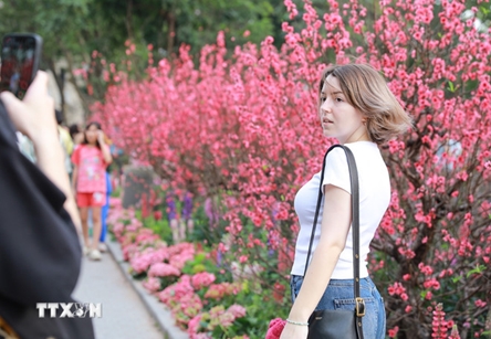 Hanoi serves 1.34 million tourists during Tet holiday