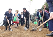 President urges more impactful, sustainable tree-planting movement