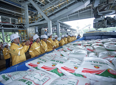 Vietnamese firm successfully exports first 40,000 tons of fertilizer to U.S.