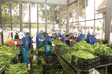 PM urges swift post-Tet action to secure growth, stability, social security