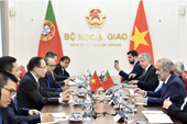 Vietnamese, Portuguese foreign ministers hold talks in Hanoi