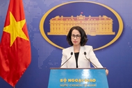 Vietnam opposes use of force against sovereign nations: Spokesperson