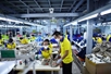 Vietnam suspends dispatch of workers to Middle East