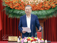 Party chief requests theoretical, practical foundations for strategic decisions in new phase