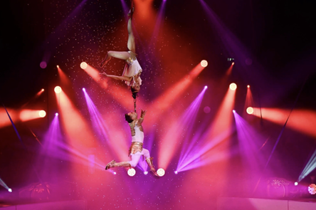 Vietnam wins three prizes at International Circus Festival Gold Elephant