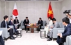 Vietnam, Japan expand cooperation in various fields