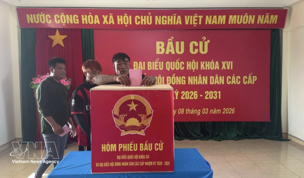 Vietnamese N.A. helps build institutional foundations for long-term development: Canadian researcher