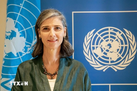 N.A., People’s Council election to shape policies sustaining Vietnam’s development momentum: UNDP official