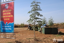 Vietnamese Peacekeepers Maintains High Combat Readiness for Peacekeeping Mission