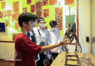 Natural history museums pulling in huge crowds