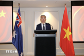 Vietnam – Australia ties increasingly substantive: Consul General