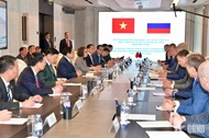 Vietnam seeks stronger LNG cooperation with Russia during PM’s visit