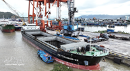 At least 10% reduction in pilotage service fees offered for all Vietnamese-flagged vessels