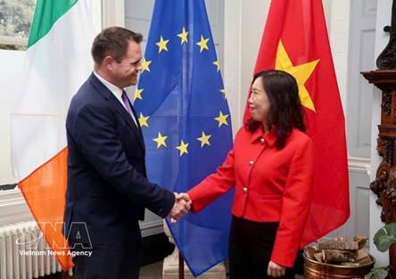 Vietnam, Ireland hold deputy foreign minister-level political consultation to advance bilateral cooperation
