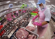 Agro-forestry-fishery exports rise nearly 6% in Q1