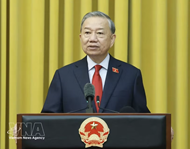 Cuban President congratulates To Lam on election as President of Vietnam