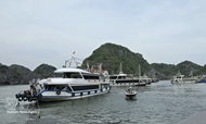 New cruise route linking Ha Long and Lan Ha Bays launched