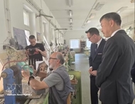 Vietnam, Czech Republic step up local-level cooperation, cultural exchange