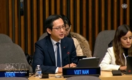 Vietnam calls for solidarity in support of Cuba