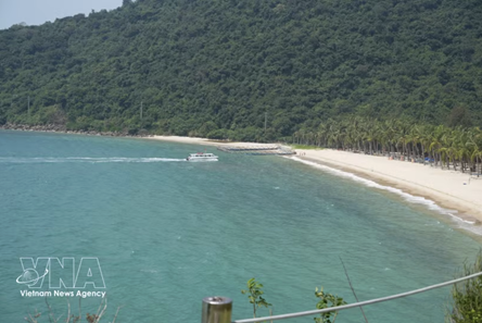 Cu Lao Cham poised to become Da Nang’s green paradise