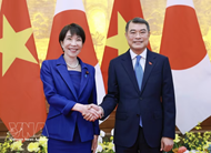 Japanese PM concludes official visit to Vietnam