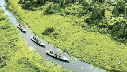 Mekong Delta eyes stronger foothold in global tourism