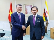 Vietnam seeks stronger cooperation with ASEAN nations, ADB