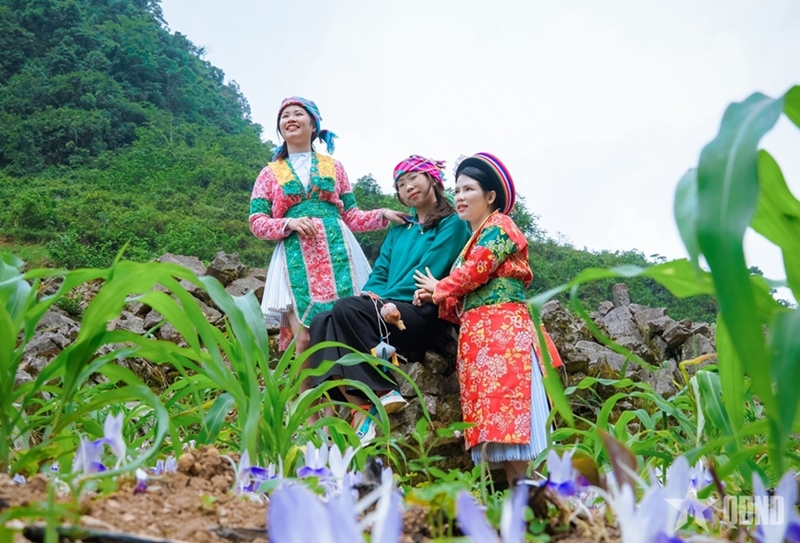 Colors of traditional costumes in Son Vi border area