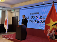 Vietnam Festival in Tokyo eyes higher turnout