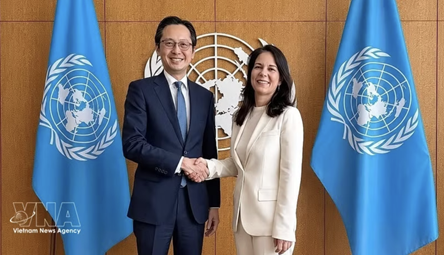 Vietnam strives for substantive outcome at NPT review conference