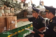 Vietnam firmly addresses each violation of intellectual property: Spokesperson