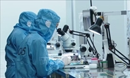 OV intellectuals pin hopes on stronger Vietnam – Singapore technology ties