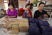 Vietnamese, Thai, Cambodian experts discuss strengthening climate-resilient livelihoods for rural older populations