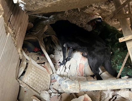 Vietnamese contingent recovers 11 victims in Venezuela