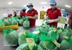 Vietnam's fruit, vegetable exports up nearly 18% in H1