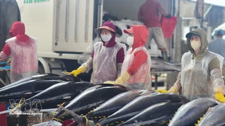 Vietnam - Israel trade set to approach 4 billion USD