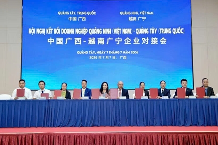 Vietnamese, Chinese firms deepen cooperation across multiple sectors