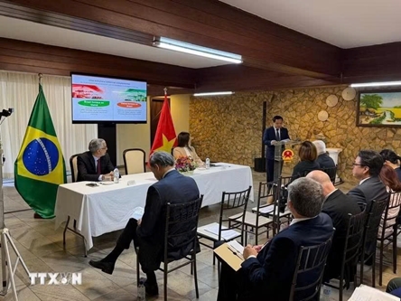 Vietnam, Brazil seek ways to promote trade, investment cooperation